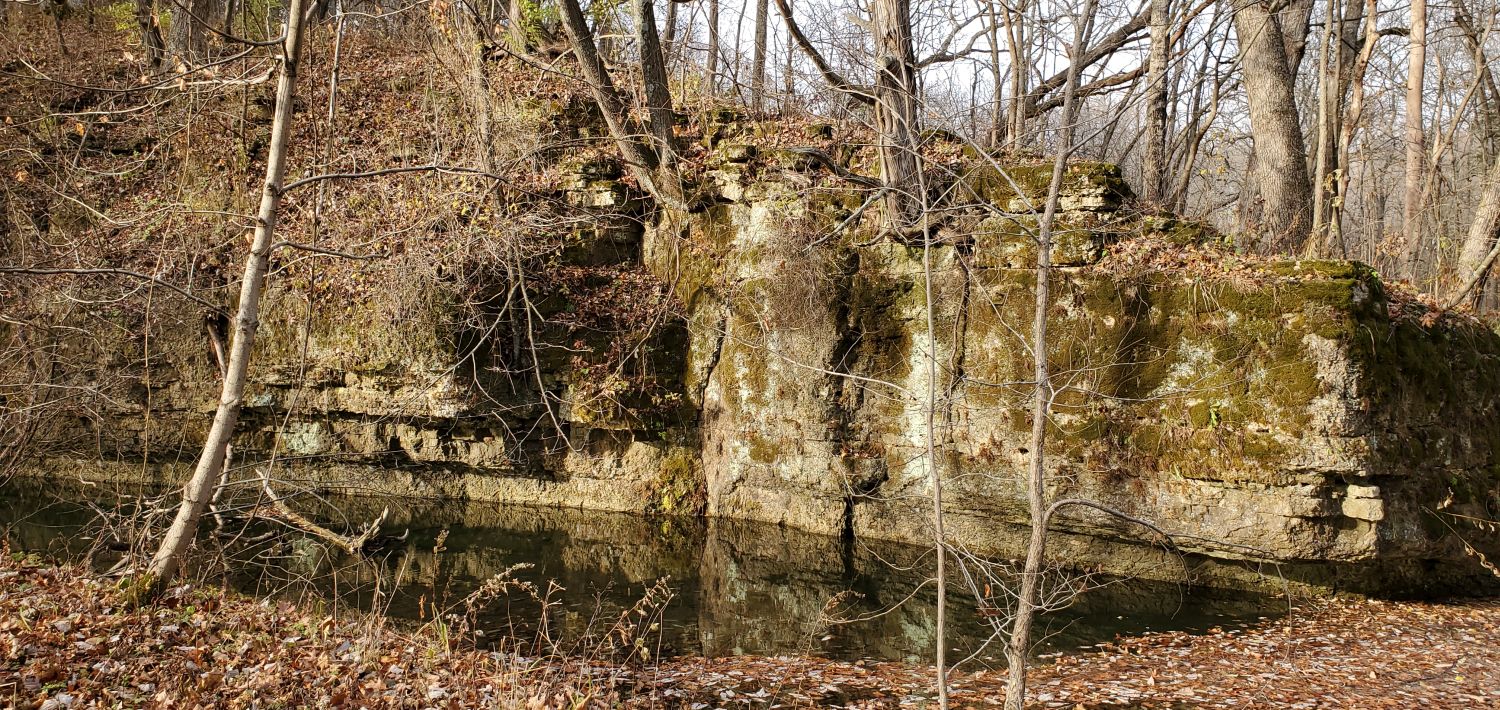 White Pines Forest State Park 